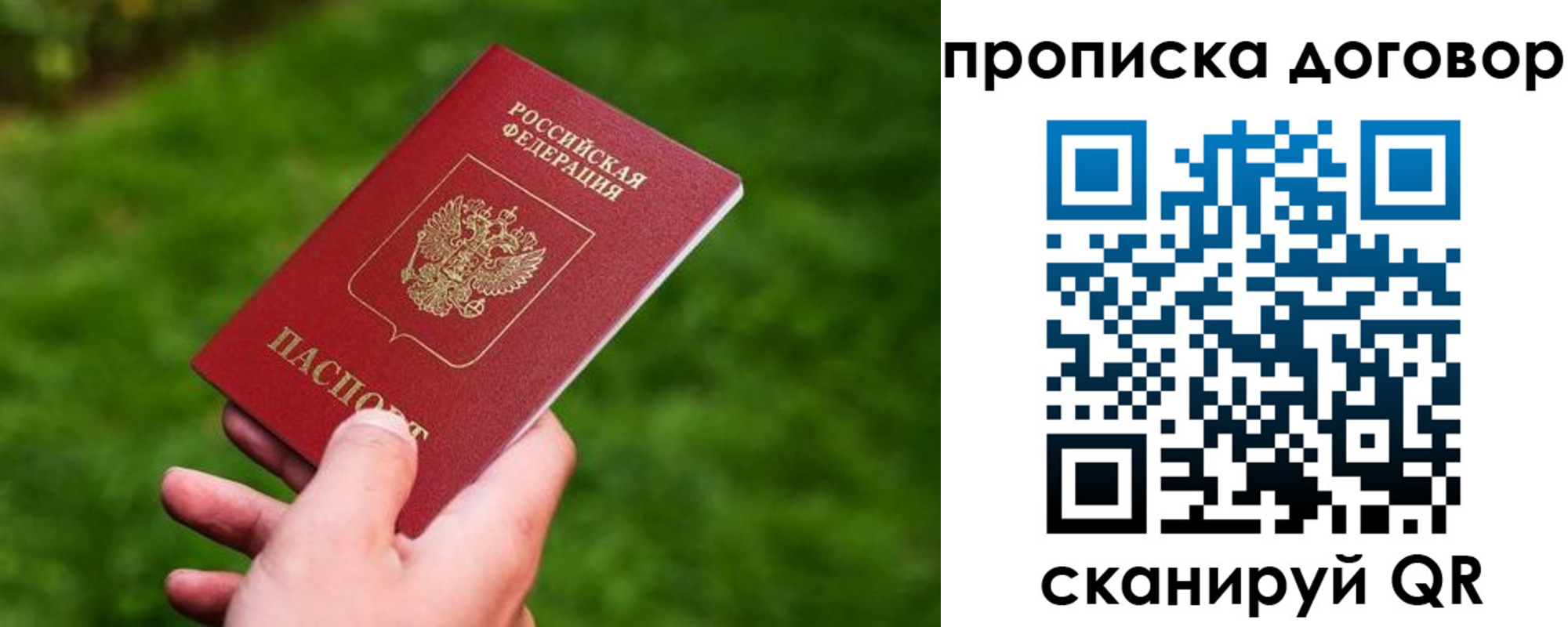 прописка гарантия в Шадринске
